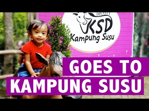 Kampung Susu Dinasty #GODIGITAL Dengan Internet Guna Mempromosikan Wisatanya